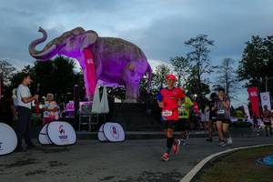 BIB: 
                            <button type="button" onclick="openModal(26529567)" class="btn btn-primary btn-sm float-right btn-popup" data-toggle="modal" data-target=".modal-high-quality">
                        <i class="fas fa-shopping-cart"></i> Add to Cart
                    </button>
                                            <button type="button" onclick="isThisMe(26529567, true)" class="btn btn-success btn-sm float-right btn-popup btn-isme hidden" data-toggle="tooltip" data-placement="bottom" title="นี่คือรูปของคุณใช่ไหม คลิกที่นี่เพื่อเอาเข้าอัลบั้ม">
                        <i class="fas fa-plus"></i> Add to album
                    </button>
                    <button type="button" onclick="isThisMe(26529567, false)" class="btn btn-warning btn-sm float-right btn-popup btn-isnotme hidden">
                        <i class="fas fa-ban"></i> Remove from album
                    </button>